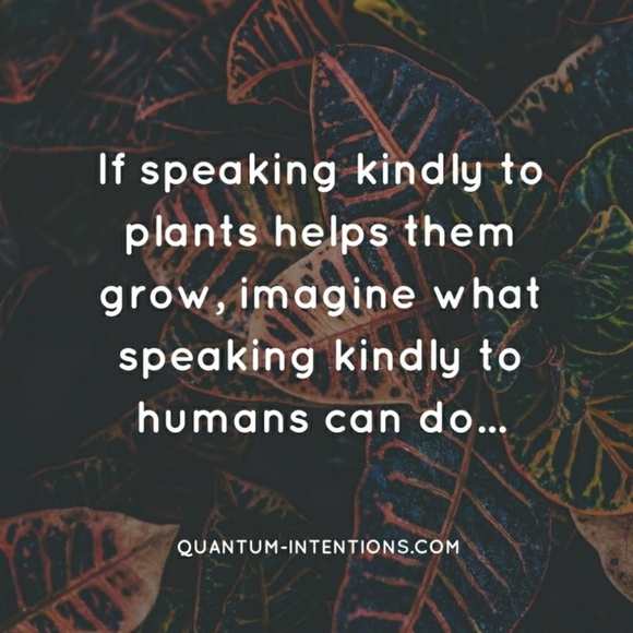 🎁🎄 Like *NEW LISTING* for +5shares!!! 🎄🎁 - Picture 7 of 8